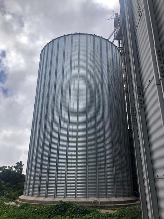 Harinas de Pelegrin Silos 1