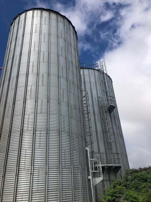 Harinas de Pelegrin Silos 2